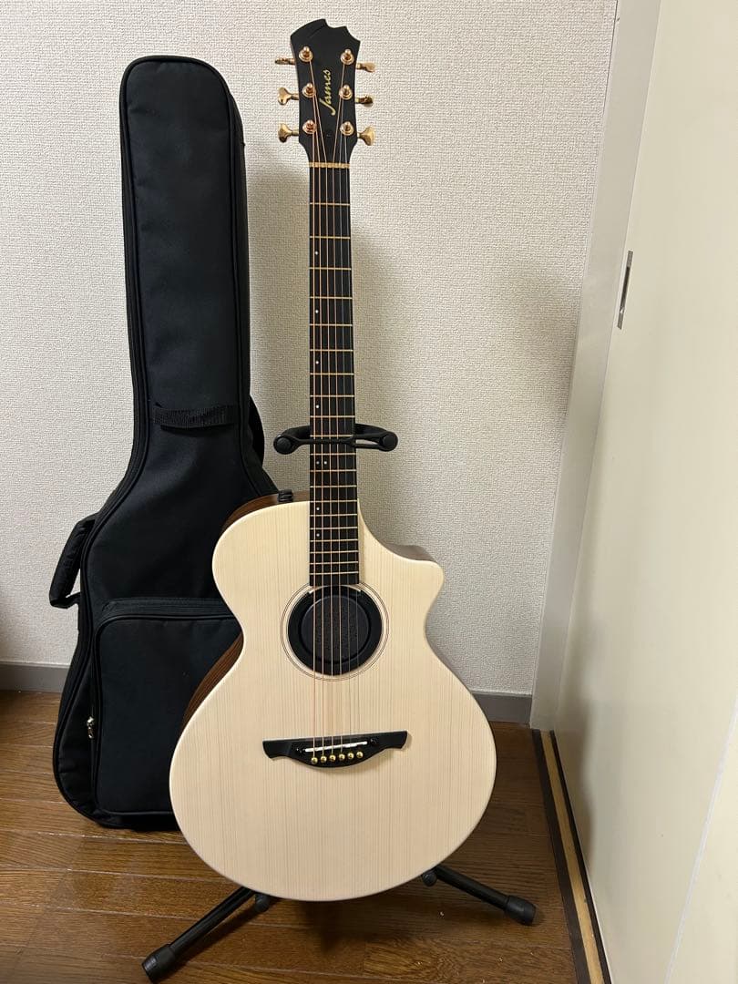 James アコースティックギター 購入後1ヶ月使用　保証付