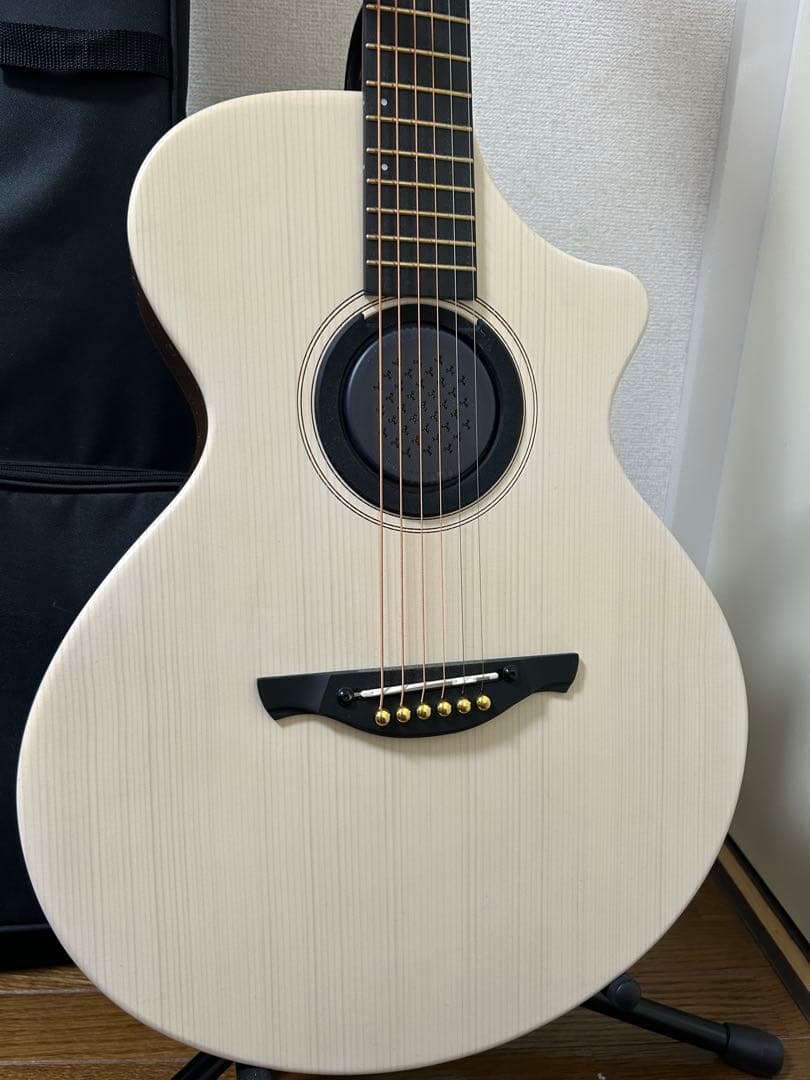 James アコースティックギター 購入後1ヶ月使用　保証付