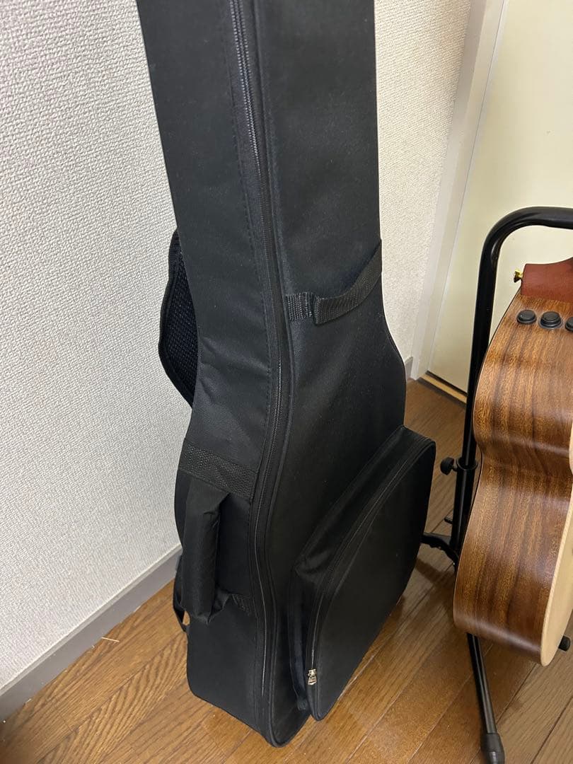 James アコースティックギター 購入後1ヶ月使用　保証付