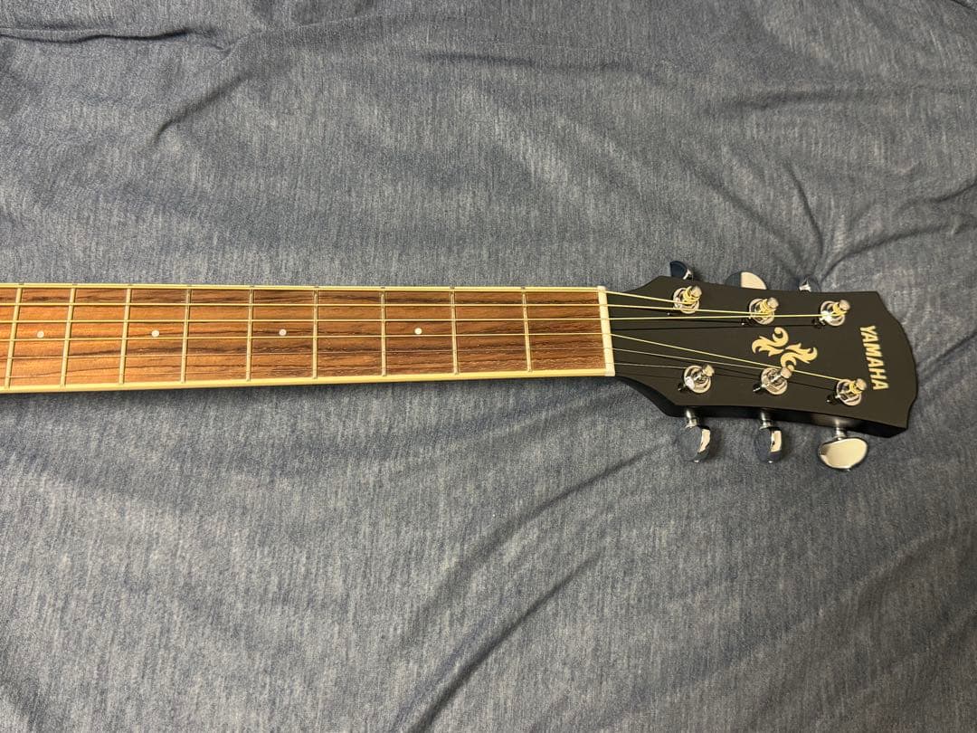 ☆★【美品！ハードケース付！】YAMAHA APX600 OBB★☆