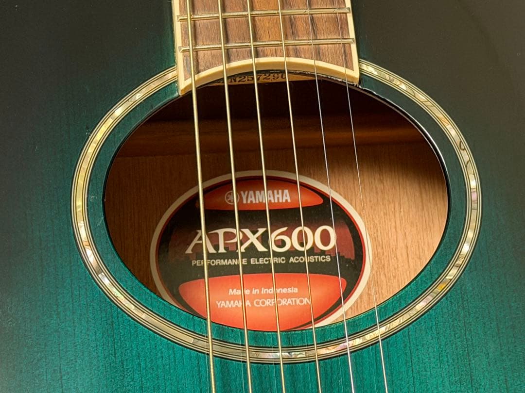 ☆★【美品！ハードケース付！】YAMAHA APX600 OBB★☆