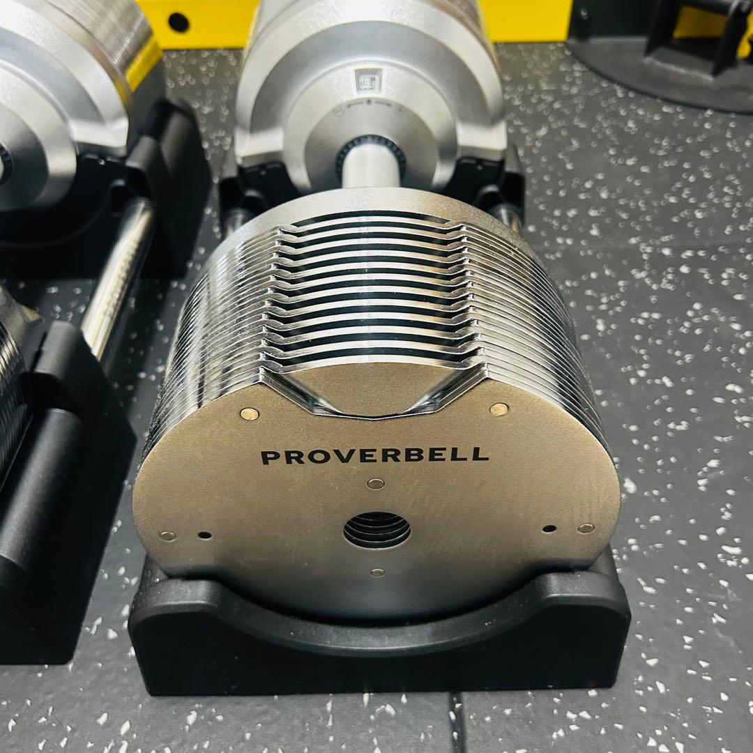あんかけ様 ライシン PROVERBELL 41.5kg ②