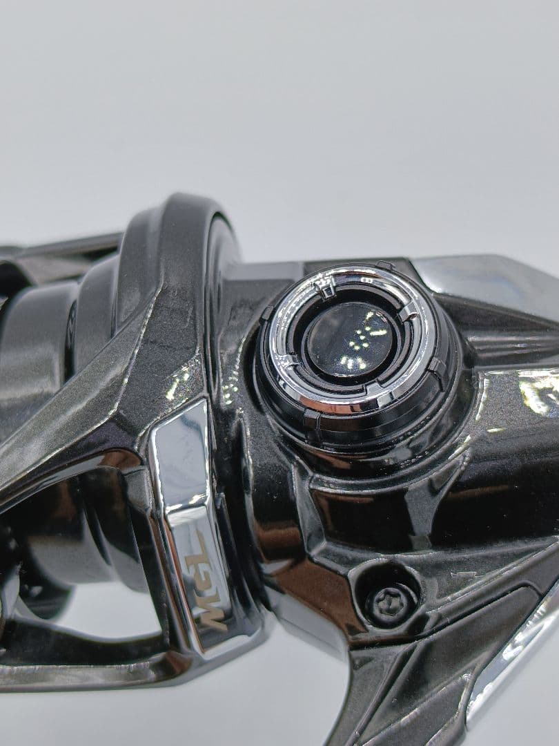 23ヴァンキッシュ1000SSSPG