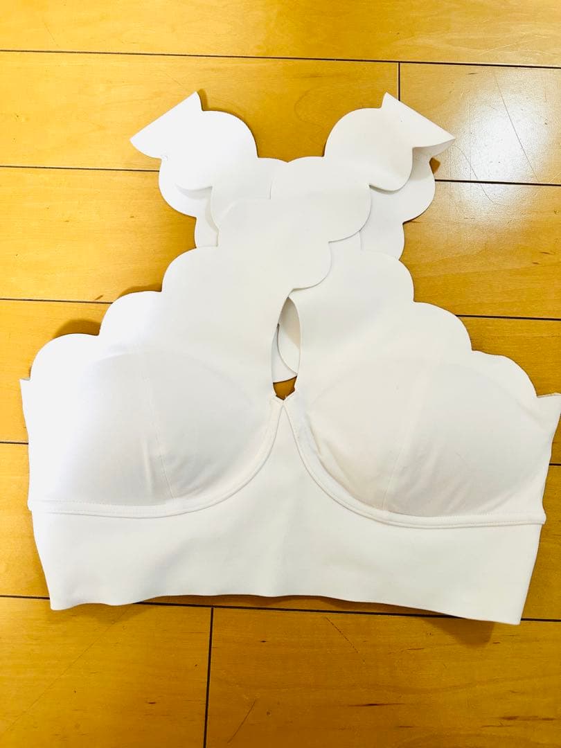 【美品】WISKI スカラップカット クロップトップ ホワイト